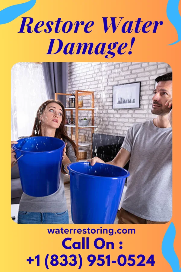 water restoration Ideal Cleanup Pros Mission