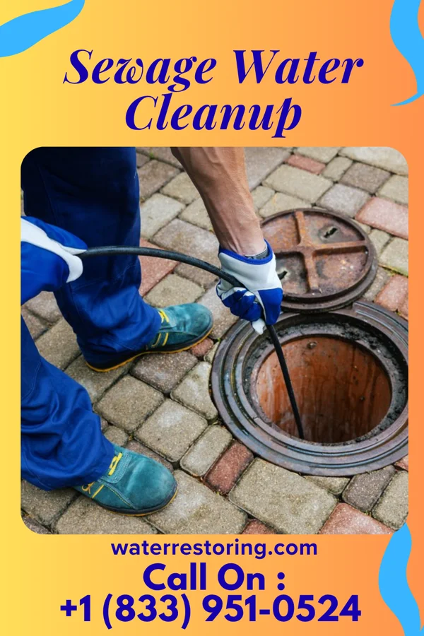 Sewage Water Cleanup in Mission, WI